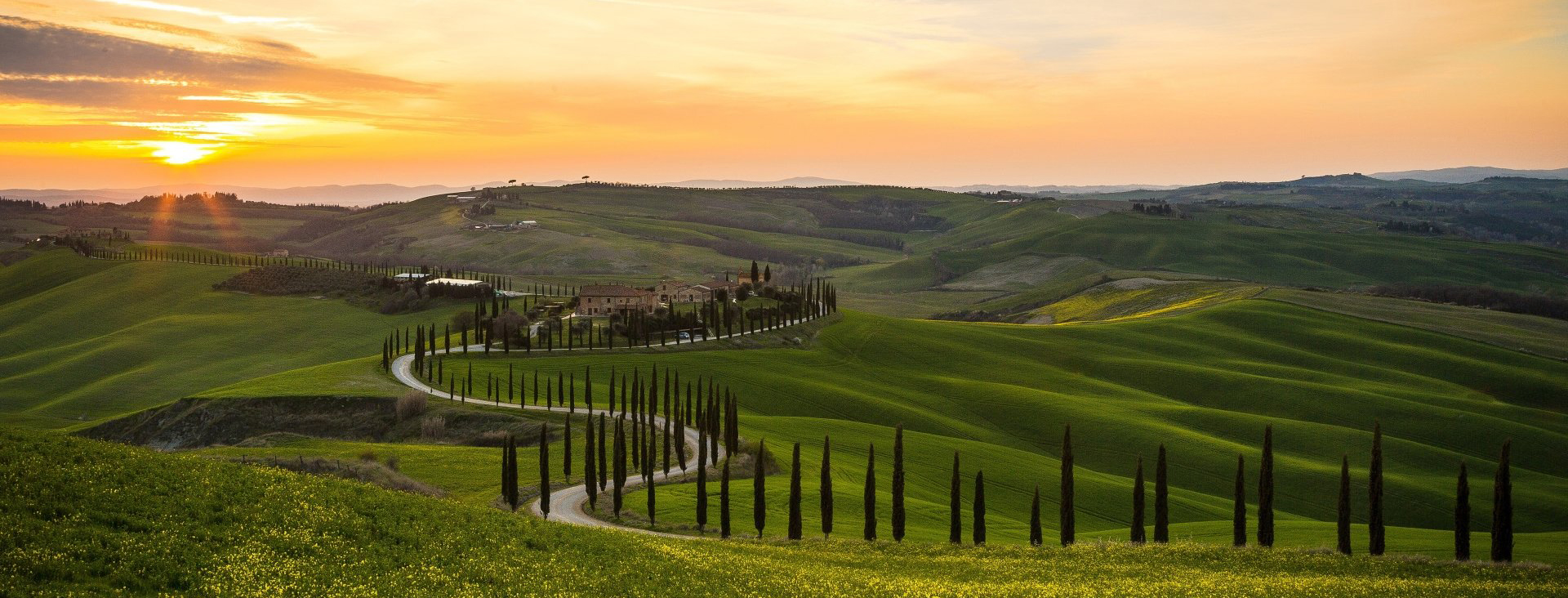 Winding road through rolling green hills at sunset.
